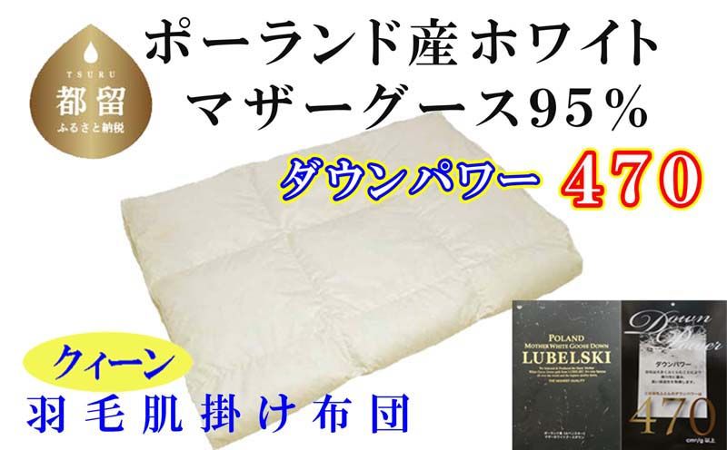 CK338[ポーランド産マザーグース95%]羽毛肌布団 220×210cm クィーン[ダウンパワー470]