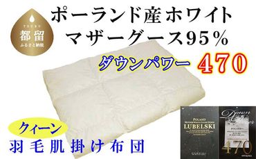 CK338[ポーランド産マザーグース95%]羽毛肌布団 220×210cm クィーン[ダウンパワー470]