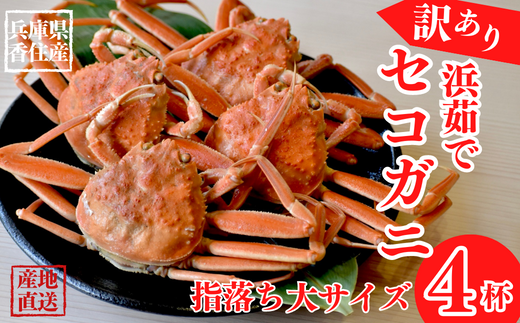 [先行予約][訳あり 浜茹で セコガニ 香住産 大サイズ4匹入り 冷蔵]11月中旬以降順次発送 松葉ガニ せいこがに メスガニ カニ 爪 ほぐし ボイル 脚 鮮度抜群 丸近 19-10