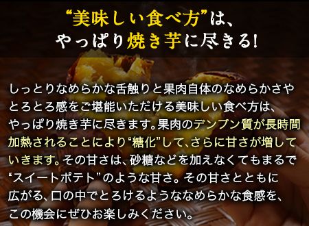 紅はるか 約5kg《30日以内に出荷予定(土日祝除く)》熊本県 御船町 秋 旬 野菜 有限会社ニシムラ---mifune_nsm_3_5kg---