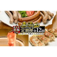 a888 《定期便全12回》鹿児島黒豚「短鼻豚」無添加ソーセージ＆生餃子＆しゃぶしゃぶ【鹿児島ますや】姶良市 豚肉 黒豚 無添加 ウィンナー ソーセージセット ウインナーソーセージ 豚しゃぶ 餃子 ぎょうざ ギョーザ おかず