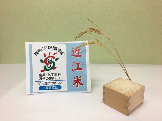 【令和5年産】環境こだわり米「みずかがみ」玄米【30㎏×1袋】【K073SM】