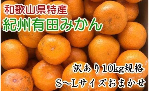 [訳あり]和歌山有田みかん約10kg(S〜Lサイズいずれかお届け)★2024年11月中旬頃より順次発送