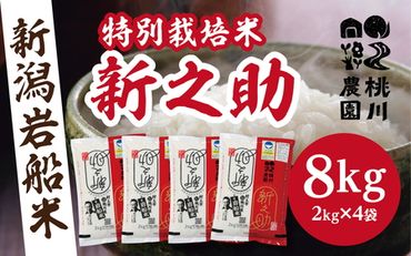 【新米受付・令和6年産米】 NAB4037 村上市桃川産 特別栽培米  新之助8kg