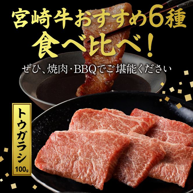 宮崎牛焼肉食べ比べ6種盛600g N0140-ZB237