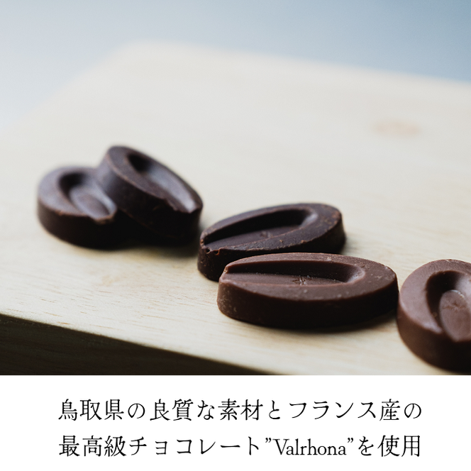 1094 生チョコレートプレーンセット(16個入)