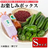 【04808】東串良物産館のおたのしみBOX-Sサイズ！【東串良物産館】