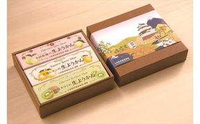 144-1769　小田原老舗和菓子店の手づくり小田原フルーツようかん3本セット【 お菓子 スイーツ 神奈川県 小田原市 】