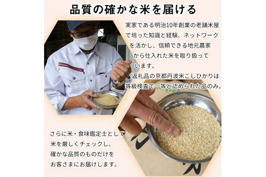 【12月末まで】【定期便】令和7年産 新米 京都丹波米10kg (こしひかり5kg・きぬひかり5kg) ×12回 計120kg〇12ヶ月 12回定期便 コシヒカリ・キヌヒカリ 各5kg※精米したてをお届け 白米※北海道・沖縄・離島への配送不可