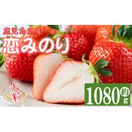 【数量限定】鹿児島県産朝採れイチゴ「恋みのり」約1080g(約270g×4パック) a3-209