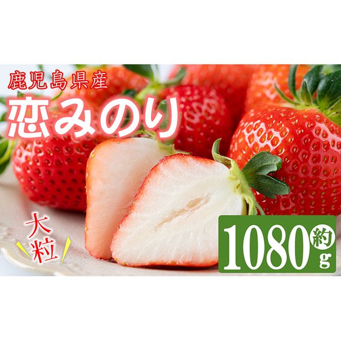 【数量限定】鹿児島県産朝採れイチゴ「恋みのり」約1080g(約270g×4パック) a3-209