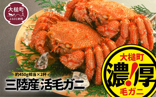 【令和8年発送】【期間限定2026年3月～5月発送】三陸産 活毛ガニ（約450g相当×2杯）【0tsuchi01220】【03】