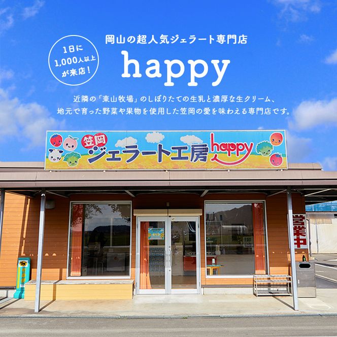 H-20　笠岡ジェラート工房「HAPPY」のカップアイス（野菜・果物、ひまわりの種）15個セット