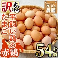 ＜訳あり・規格外＞ 平飼い赤鶏のたまご (計54個) 元さん農園 卵 玉子 卵かけご飯 玉子焼き 平飼い 鶏 鶏卵 養鶏場直送 新鮮 大分県 佐伯市 【GE008】【 (株)海九】