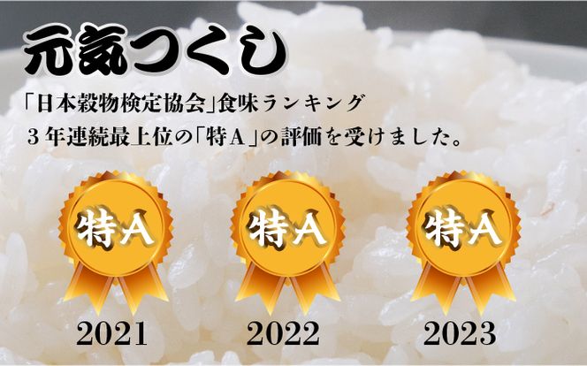 【先行予約】【全3回定期便】福岡県産【特A】評価のお米「元気つくし」5kg×2袋 [10kg] [白米]【2024年11月下旬以降順次発送】《築上町》【株式会社ベネフィス】[ABDF115]