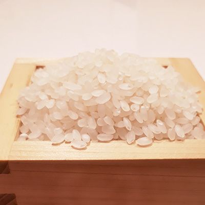 【定期便先行予約！】【令和8年 1月～12ヶ月定期便】　大和米　奈良県広陵町産ヒノヒカリ　白米5kg×12