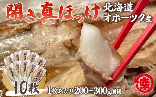 ykCCԒzق̊J 10i200`300gOj Iz[cNY ^ق SRMA026