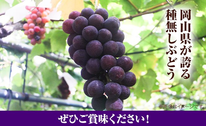 岡山県産ニューピオーネ（1房680g以上）1房入り 令和7年産先行受付《9月上旬‐10月中旬頃出荷》【配送不可地域あり】---H-33a---