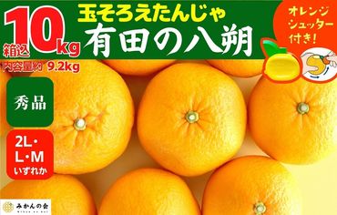 八朔 (はっさく)  玉ぞろい 箱込 10kg(内容量約 9.2kg) 2L L Mサイズのいずれか 秀品 優品 混合和歌山県産  産地直送【おまけ付き】【みかんの会】AX235