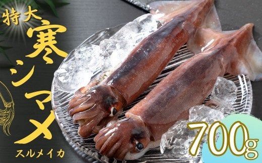 今が旬!朝どれ寒シマメ特大サイズ(350-400g)丸ごと2杯セット 700g〜800g