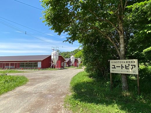 きのとや たまごプリン（8個入）