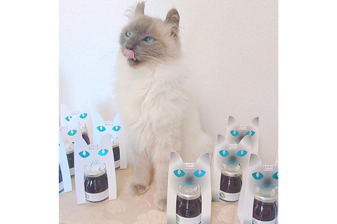 【猫パッケージ入り】はちみつ入りフルーツジャム2種＆栃木県産はちみつ1種の3点セット｜ハチミツ 蜂蜜 瓶 苺 ブルーベリー ギフト