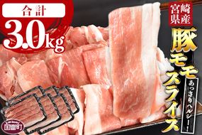 ＜宮崎県産豚モモスライス 合計3.0kg（500g×6）＞翌月末迄に順次出荷【b0403_ty】