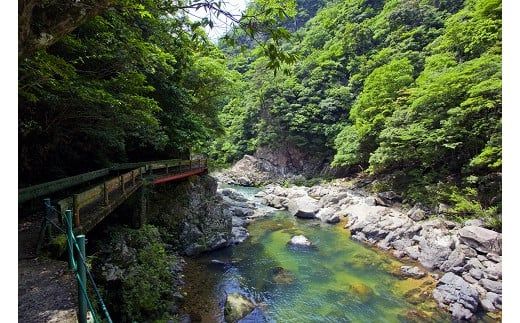 A097 維新の一粒5㎏×6袋（白米）