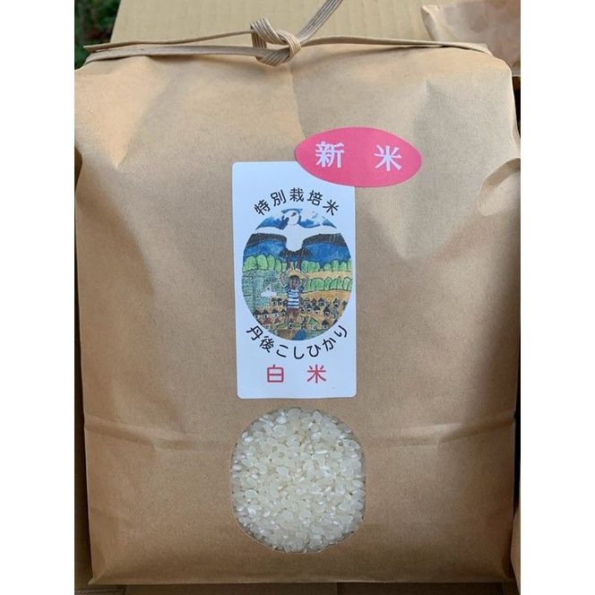 【予約受付】特別栽培米丹後こしひかり3kg＆新興梨5～6個（2026年10月上旬～発送）　KU00072