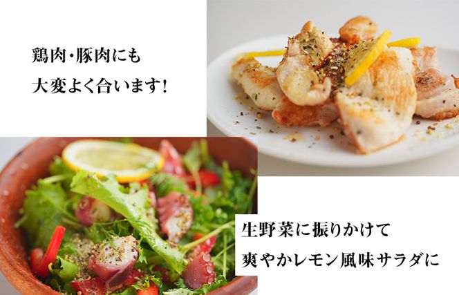 W117 焼き肉専門店 レモン塩 スパイス 90g×1袋 お試し