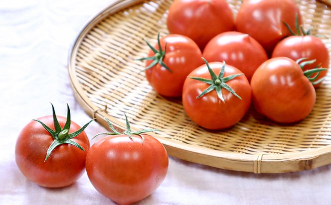 まっことうまい！水田さんのフルーツトマト【約２kg / 簡易箱入】