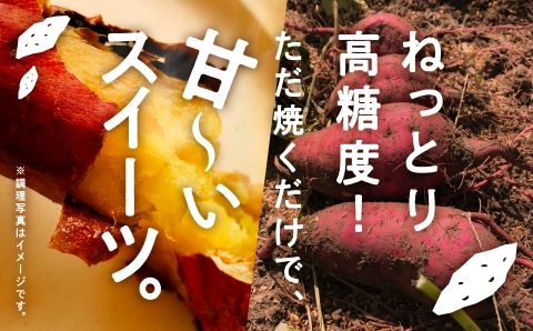 【先行予約】【農薬・化学肥料不使用】ねっとり甘~い おいもさん（紅はるか） ５kg   ey002n00