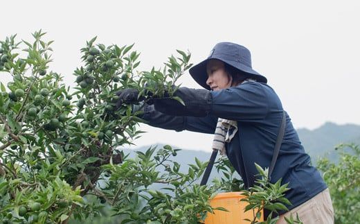 「山神果樹薬草園」すだちのハンドケアセット 《30日以内に出荷予定(土日祝除く)》 ---sanagouchi_myk_14_1set---