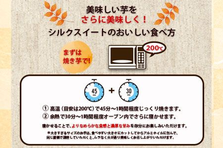 【早期予約】熊本県大津町産 タカハマ観光農園のシルクスイート 約5kg《1月上旬-4月末頃出荷》 さつまいも 芋 スイートポテト 干し芋にも---so_tkhmslk_af14_24_9500_5kg---