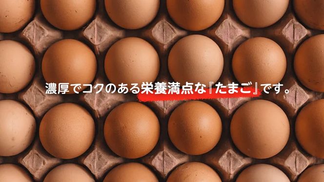キトサン 健康 たまご 80個入 赤玉 卵 タマゴ 鶏卵 鶏 卵かけごはん ゆで卵 赤たまご 国産 茨城県 玉子 [EE001us]