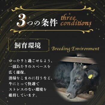 亀岡牛リブロースステーキ 400g（200g×2枚）≪京都府産 丹波 黒毛和牛 牛肉 冷凍 送料無料≫