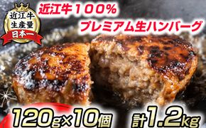 近江牛１００％　プレミアム生ハンバーグ1.2kg（約120g×10個）【FO19U】