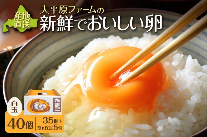 ykCz啽t@[̐VNł 40_S035-0001