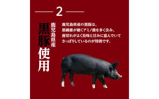 鹿児島黒豚丼の素　K025-003