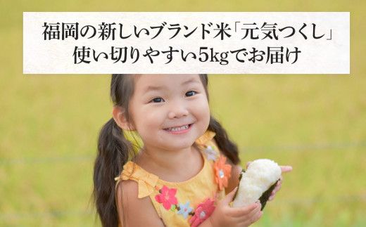 令和7年産　福岡県産ブランド米「元気つくし」白米5kg【11月上旬頃より順次出荷予定】