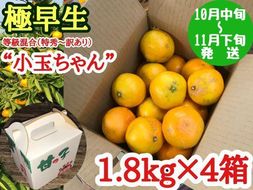 極早生 有田 みかん 小玉ちゃん 等級 混合 1.8kg × 4箱 南泰園 和歌山 有田みかん BS628
