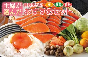 099S015 主婦が選んだ 普段使いにおすすめセット（銀鮭 切り身 たまご 野菜）【別送】
