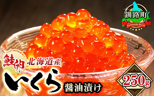 いくら醤油漬け 250g ×1箱 | 国産 北海道産 いくら いくら醤油漬 イクラ ikura 天然 鮭 サーモン 鮭卵 鮭いくら 小分け サイズ 北海道 昆布のまち 釧路町 釧之助本店 ご飯 米 無洗米 父親の日 にも最適 10000円 年内配送 年内発送 釧路超 特産品 121-1928-01-013