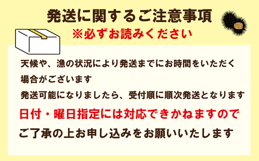 ＜小川の塩水ウニ　100g×2パック＞北海道 北海道産 道産 雲丹 ウニ うに 塩水うに 工場発送