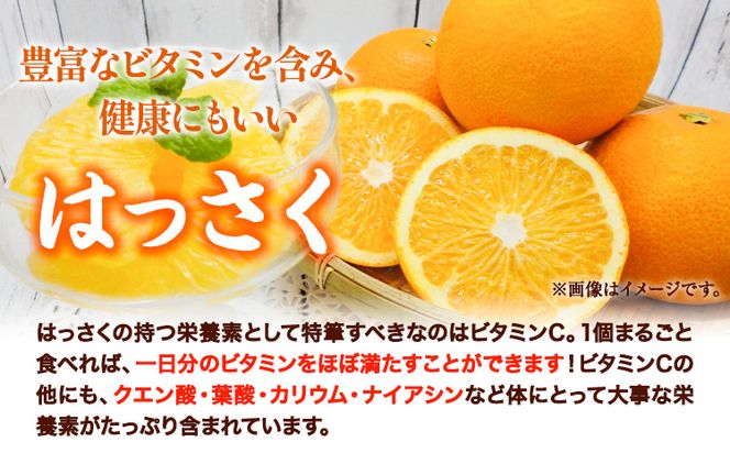 八朔 約10kg ｍ＆ｎ果実園《2025年1月下旬-3月中旬頃出荷》和歌山県 紀の川市 果物 フルーツ はっさく 柑橘類 送料無料---wsk_mnk1_h13_23_13000_10kg---