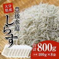  豊後水道産 しらす (合計800g・100g×8袋) 冷凍 しらす しらす丼 丼ぶり 魚 さかな ご飯 ごはん 炒飯 チャーハン パスタ サラダ 国産 大分県 パック 小分け 便利 大分県 佐伯市【CT08】【 (有)高橋商店】