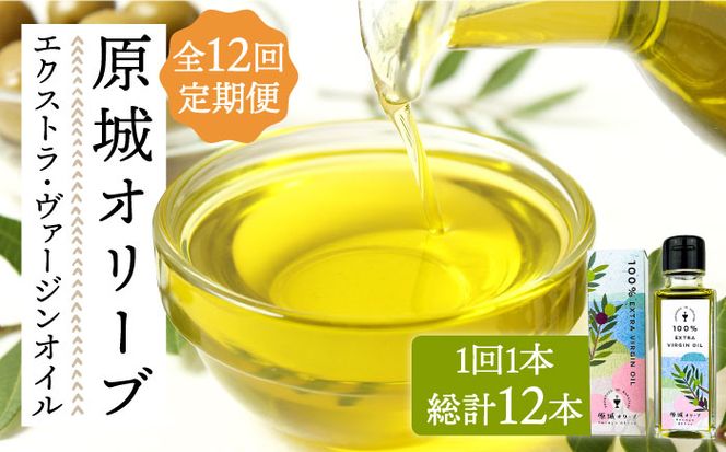 【12回定期便】 原城 オリーブ エクストラ・ヴァージンオイル 100ml 1本 / オリーブオイル オイル 油 調味料 / 南島原市 / ミナサポ [SCW056]