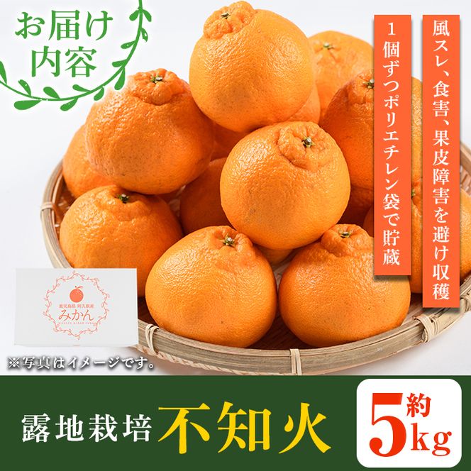 ＜先行予約受付中！2026年3月上旬以降順次発送予定＞数量限定！鹿児島県産 露地栽培の不知火(計約5kg：大将季) 国産 みかん ミカン 柑橘 フルーツ 果物 旬 デザート 数量限定 期間限定 露地 阿久根市産 しらぬい シラヌイ【三笠農業生産】akn051-10