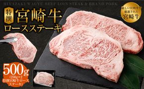 ＜特撰宮崎牛ロースステーキ 500g＞2025年2月より順次出荷します【c507_hn_x1】