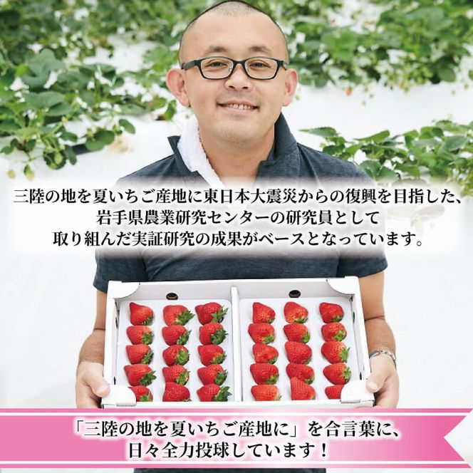 訳あり さんりく星苺 冷凍 2kg 苺 いちご 不揃い 大きさ不揃い 果物 くだもの フルーツ おやつ デザート アイス ジャム ストロベリー strawberry 岩手県 大船渡市 [riastar006]